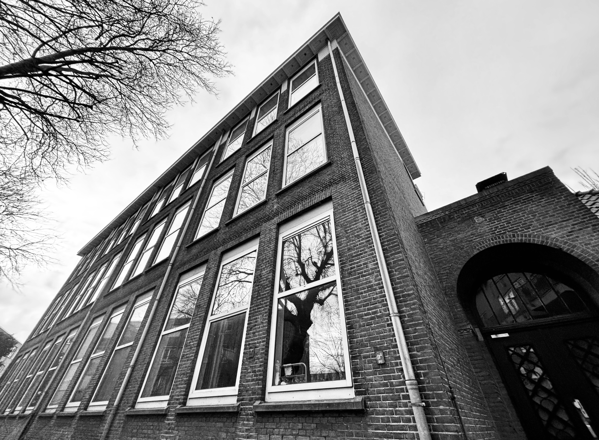 Black-and-white photograph of a tall brick building with large windows, reflecting the branches of a nearby tree. The upward angle emphasizes the structure's height and architectural details, while the bare tree adds an element of natural contrast. Ideal for urban photography, architecture, and modern design themes.